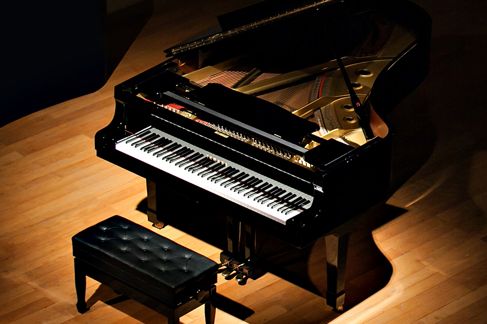 便攜鋼琴,便攜手卷鋼琴,便攜智能鋼琴,便攜折疊鋼琴,便攜鋼琴價格,特倫斯便攜鋼琴